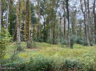 111113-111 & #113, Newport, NC 28570