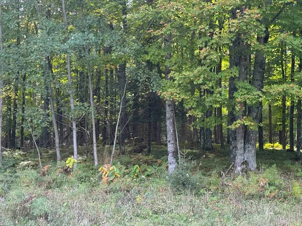 Maple Ln, Bowler, WI 54416