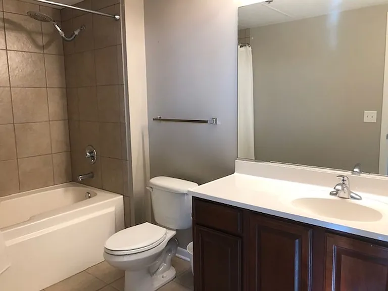1550 S Blue Island Ave #1211 — Photo 10