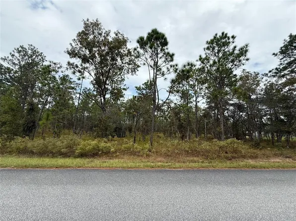NW Amberjack Ave Lot 5, Dunnellon, FL 34431