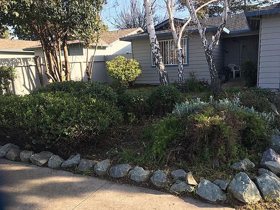 Front yard trees slate rocks