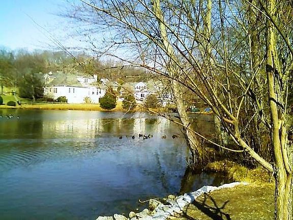 Deerwood Lake @ End of Street