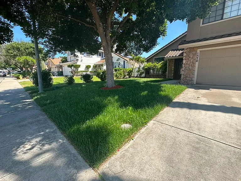 Front Yard