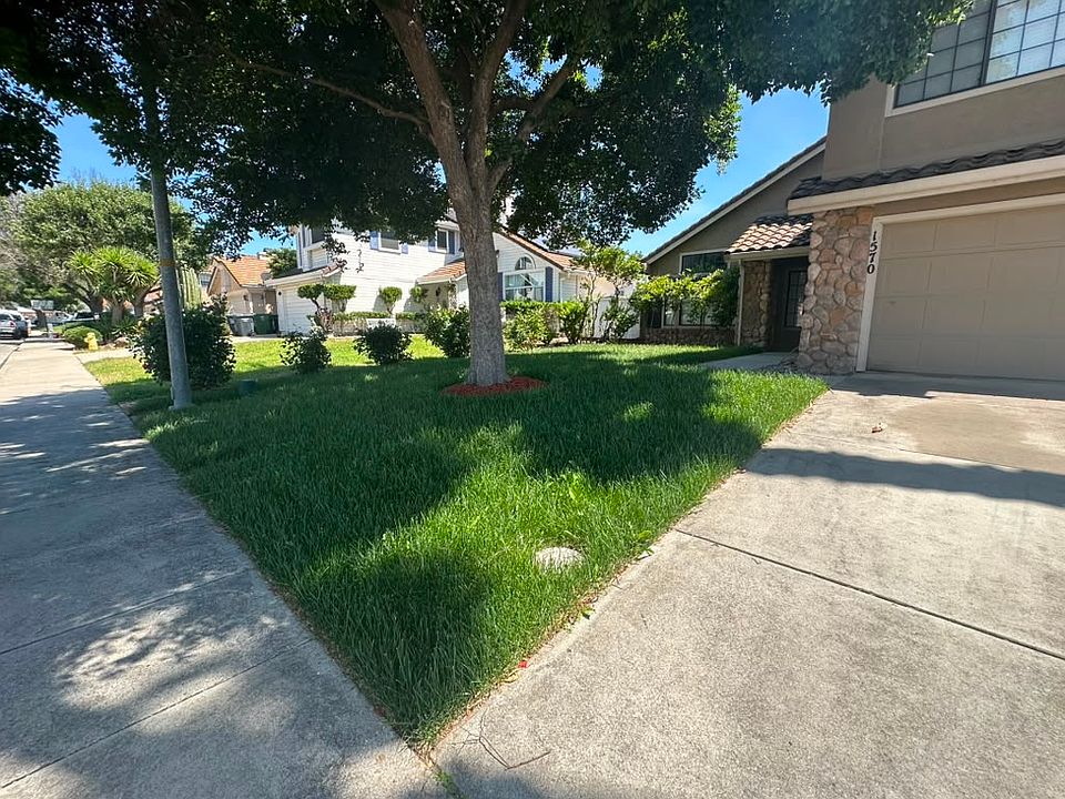 Front Yard
