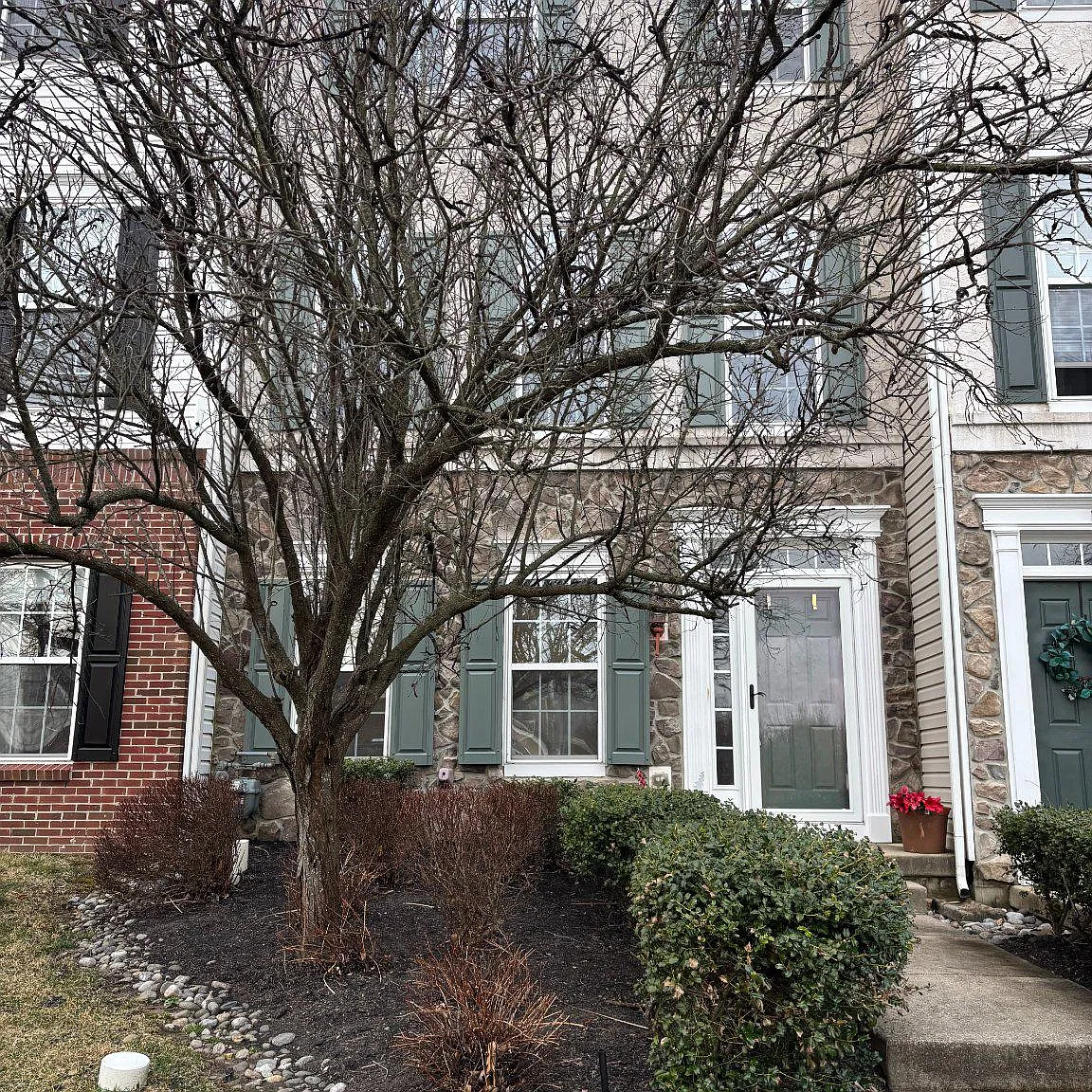 3 bed, 2.5 bath, 1624 sqft, $2,900 — Photo 1