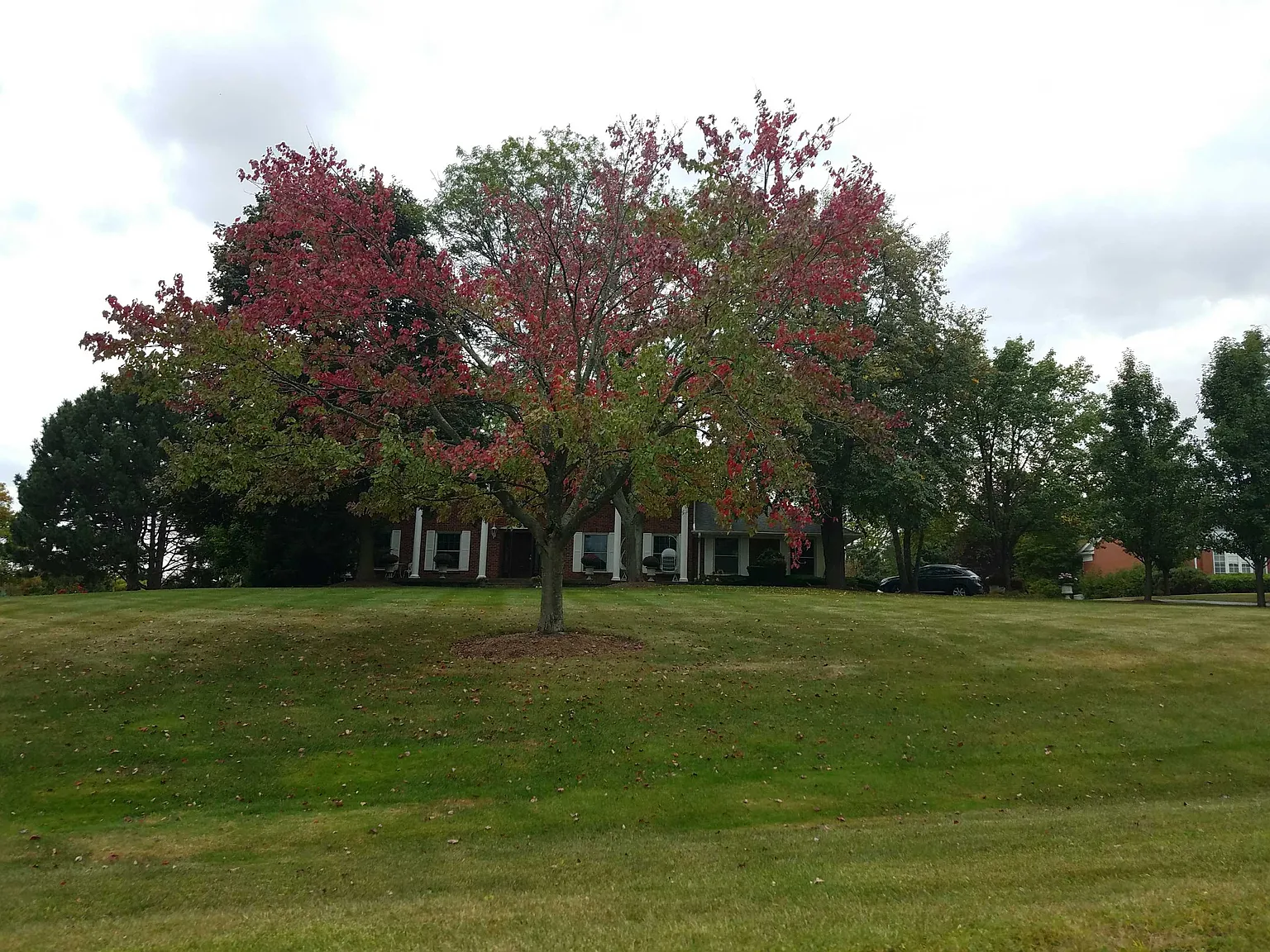 1467 Thor Dr photo 1