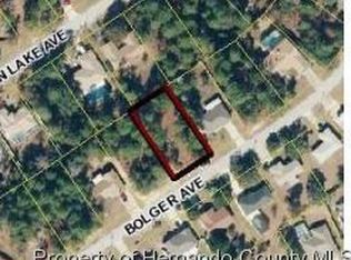 1407 Bolger Ave, Spring Hill, FL 34609