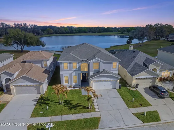 1312 Brooke View Dr, Odessa, FL 33556
