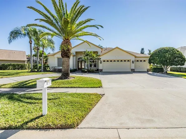 4377 Radcliffe Dr, Palm Harbor, FL 34685