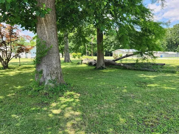 211 N Chestnut St, Sesser, IL 62884