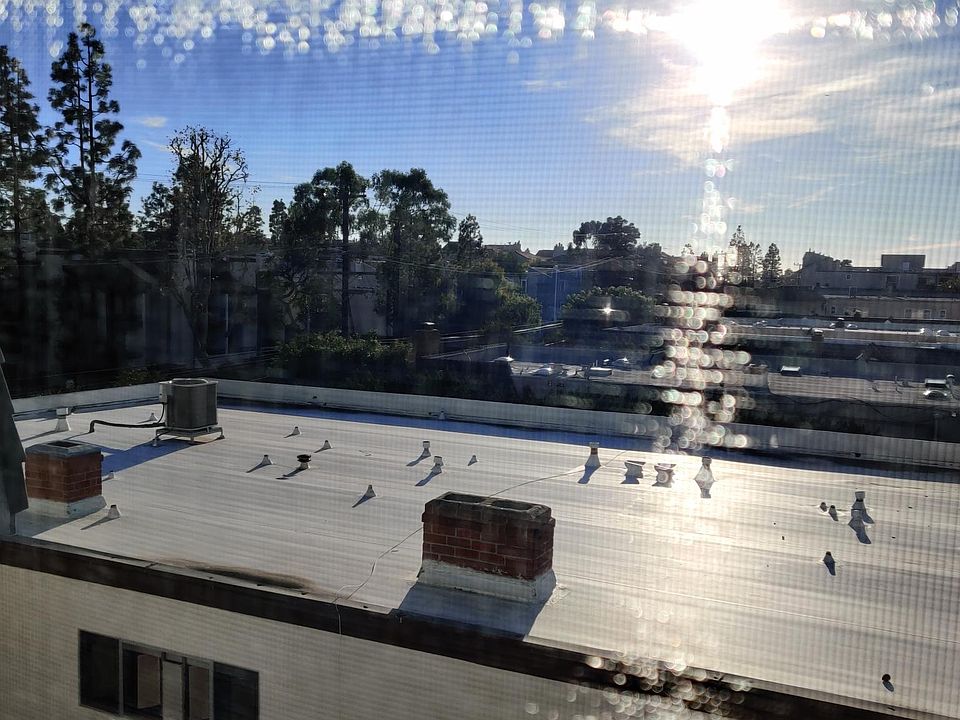 View from dinning room