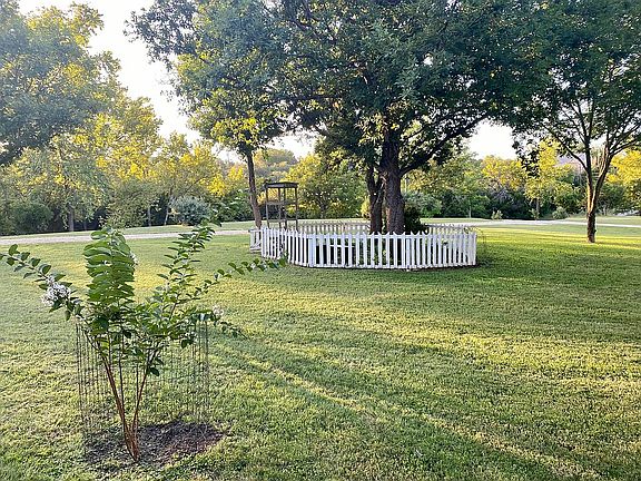 Partial view of front yard