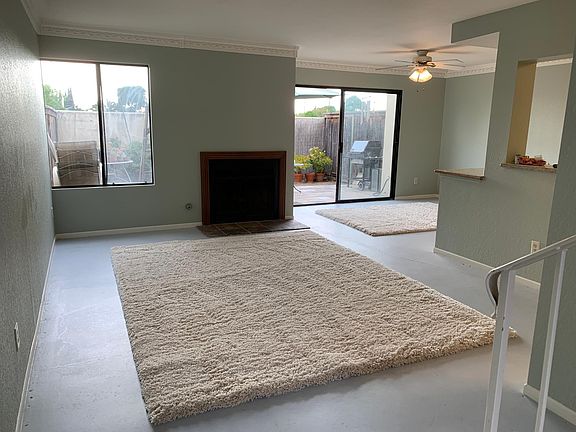 Living room with new plush area rug.