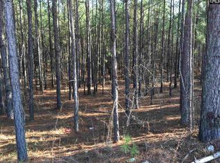 949 Robinson Town Rd, Cassatt, SC 29032