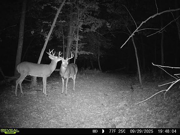 3rd image of 1948 Nature Trl