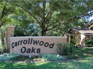 10027 Lake Oak Cir, Tampa, FL 33624