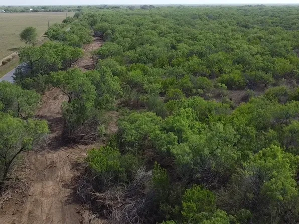 231 County Rd, Falfurrias, TX 78355