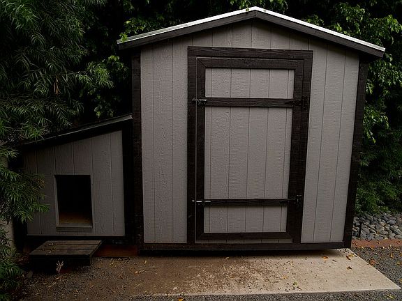 Custom Dog House And Shed