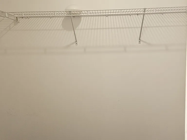 Primary closet