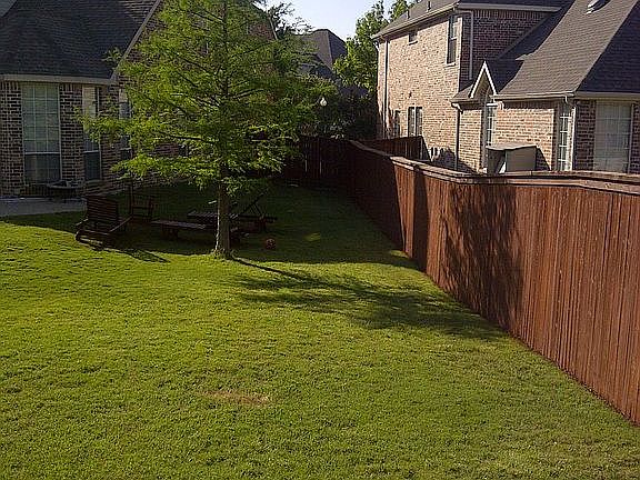 Back yard