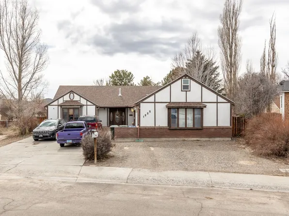 1225 Dotta Dr, Elko, NV 89801
