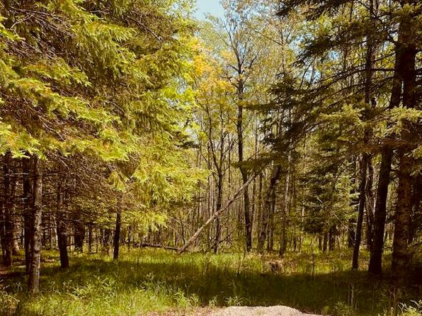 0 N Indian Trl, Engadine, MI 49827