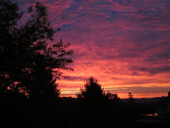 View from Deck