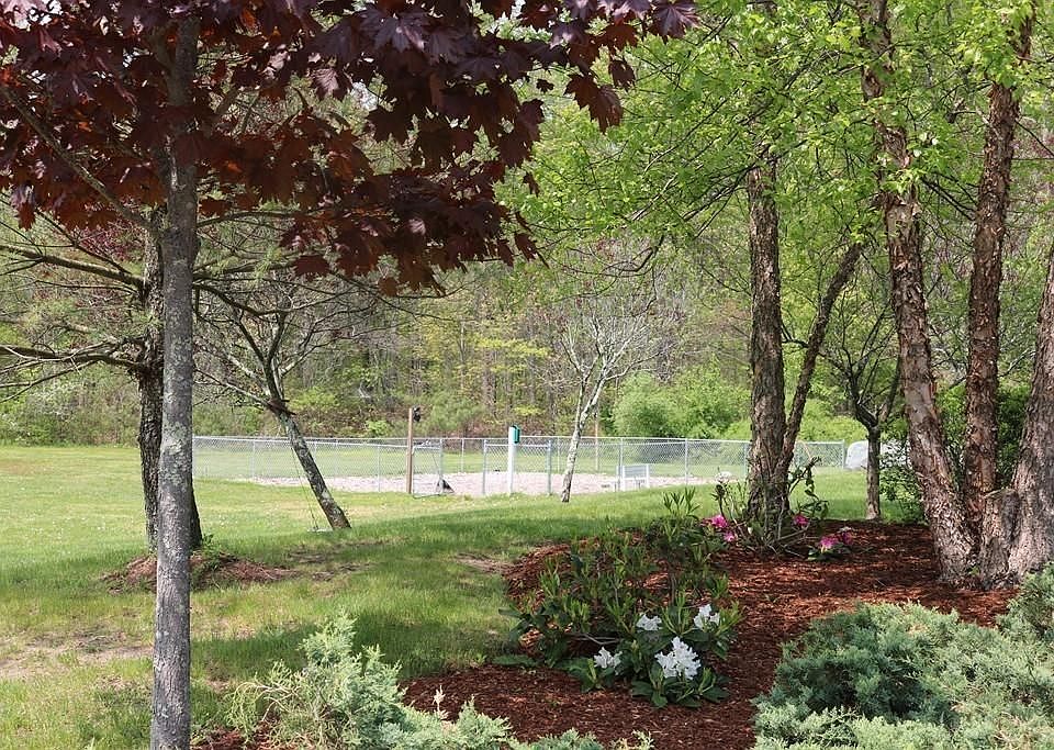 Dog Park