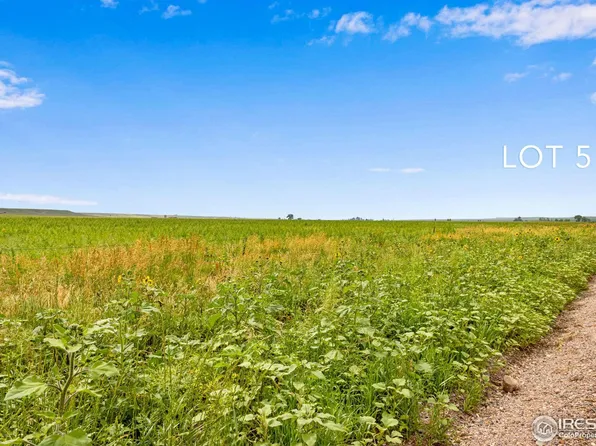 5 TBD County Road 17, Carr, CO 80612