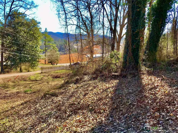 59 Bradley St #Nod5, Blue Ridge, GA 30513