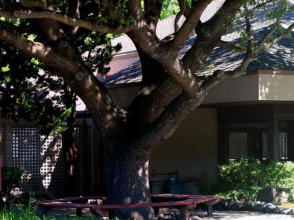 2nd image of 443 Alberto Way Unit B123