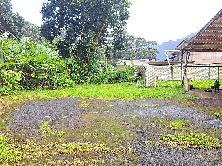 3398 Kalihi St #1 — Photo 21