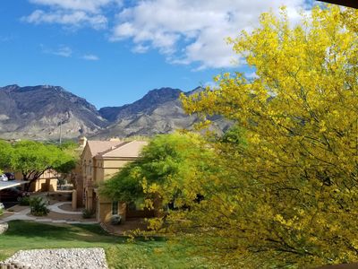 7050 E Sunrise Dr Unit 6204, Tucson, AZ, 85750