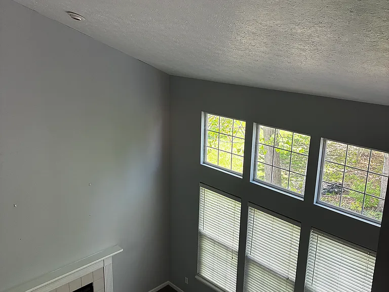 Back Living Room