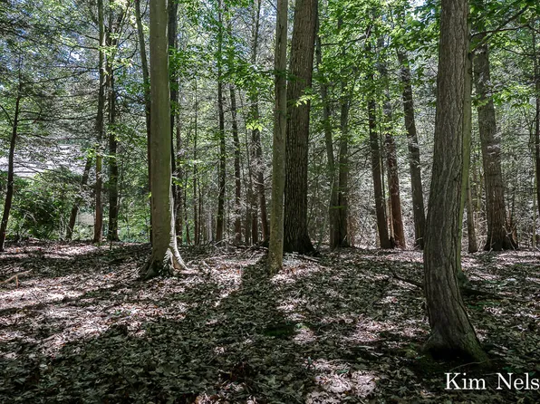 0 Oak Tree Ln Lot 20, Whitehall, MI 49461