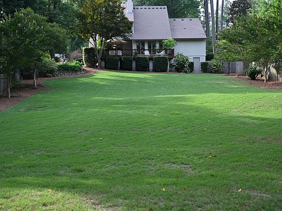 Large backyard