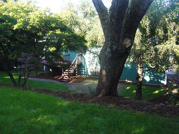 Upper Back Yard