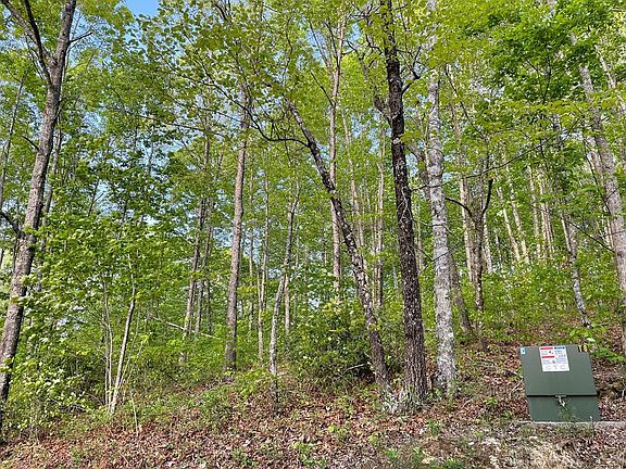 3rd image of N/a Trillium Hts Lot 39-42