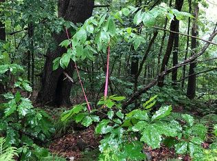 73-2 Becket Rd, Otis, MA 01253