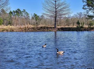 0 State Highway 64, Ben Wheeler, TX 75754