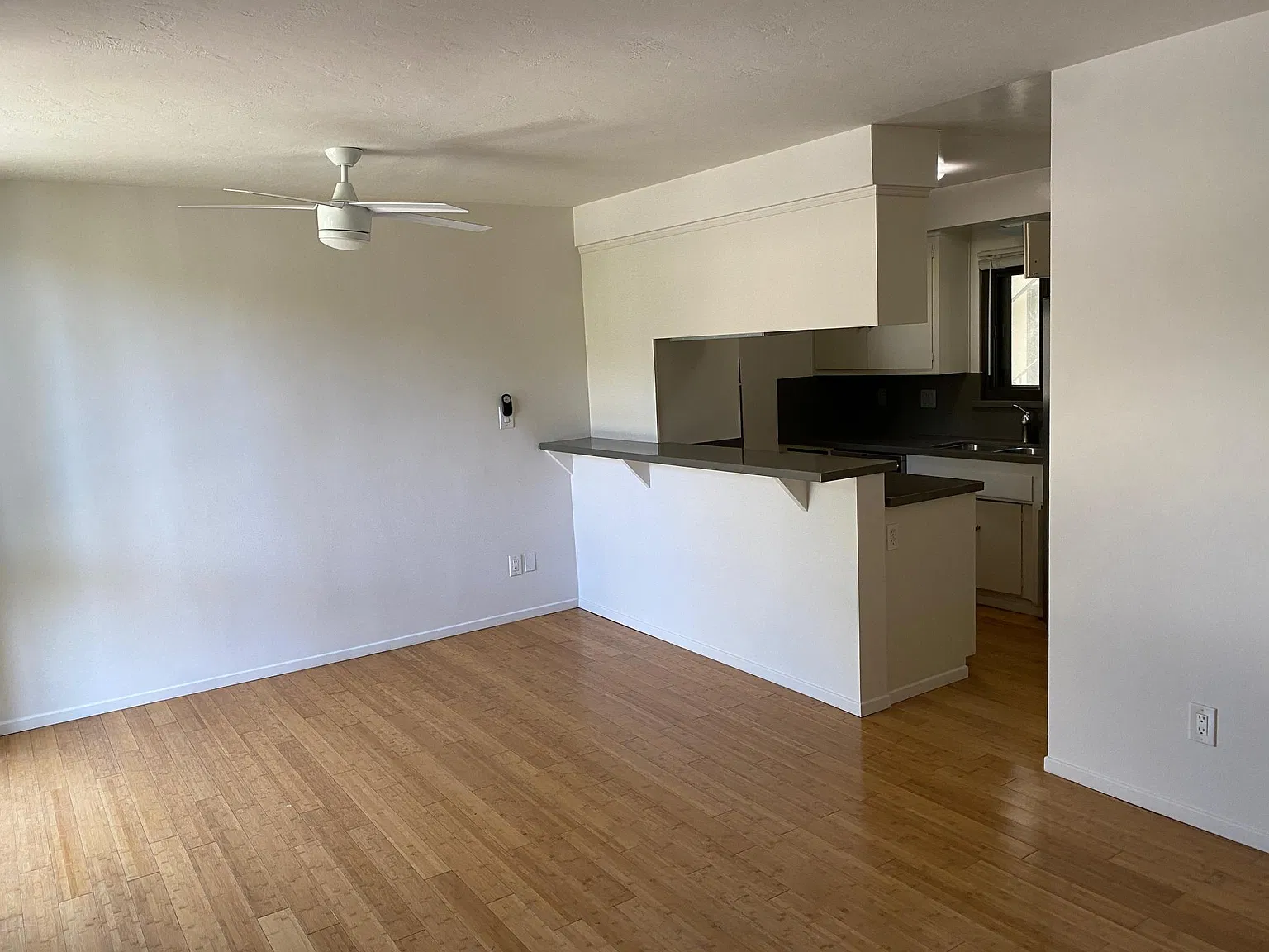 3 bed, 1200 sqft, $3,695 — Photo 4