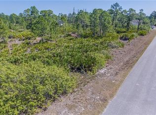 1135 Cove St E, Lehigh Acres, FL 33974