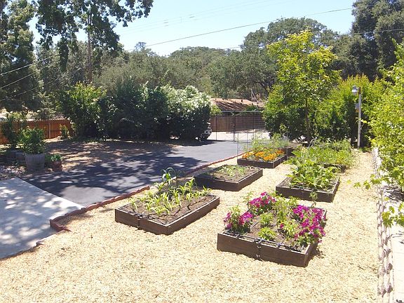 Redwood + Cedar raised beds