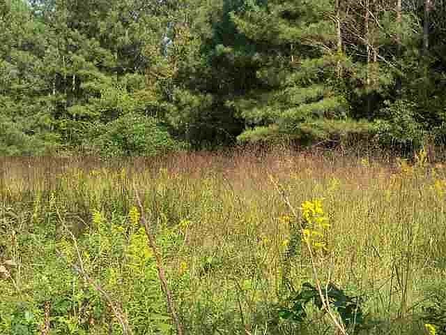 2nd image of 67 Harris Creek Trl SW