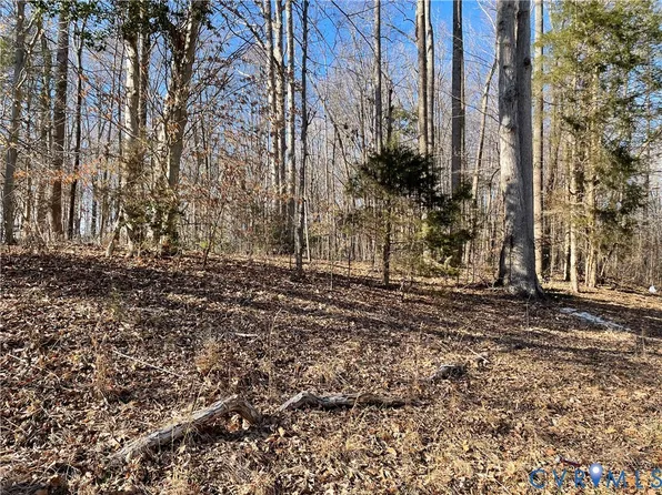 843 Bowling Ln, Ruther Glen, VA 22546