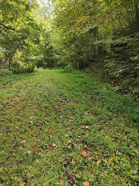 1st image of 0 Yellow Branch Sr 1241