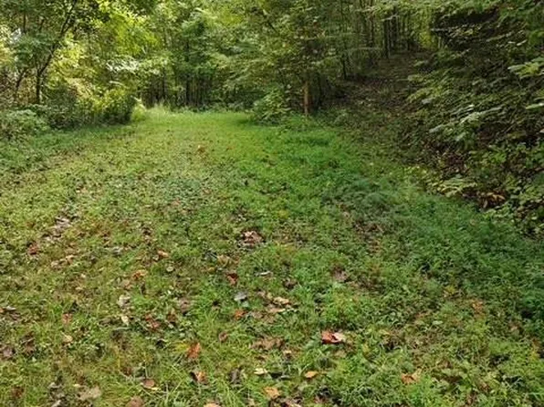 0 Yellow Branch Sr 1241, Robbinsville, NC 28771