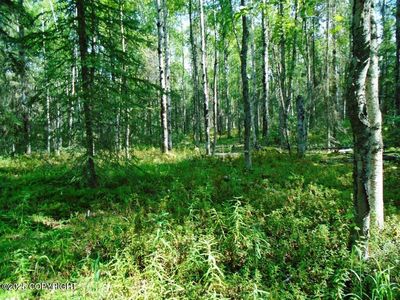 8581 W Skyview Dr, Wasilla, AK, 99623