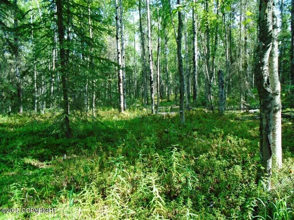 8581 W Skyview Dr, Wasilla, AK 99623