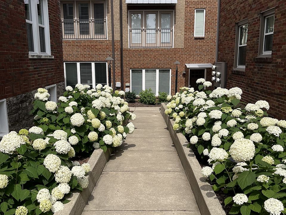 1st image of 2003 Convent Pl APT 6